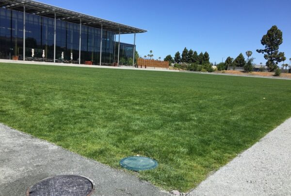 Microsoft Silicon Valley Campus EPIC Recreation Field