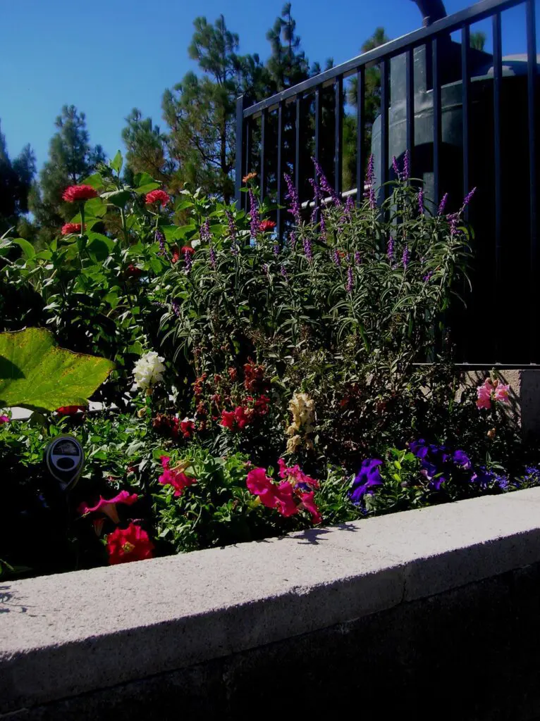 A flower bed with red, purple and pink flowers.