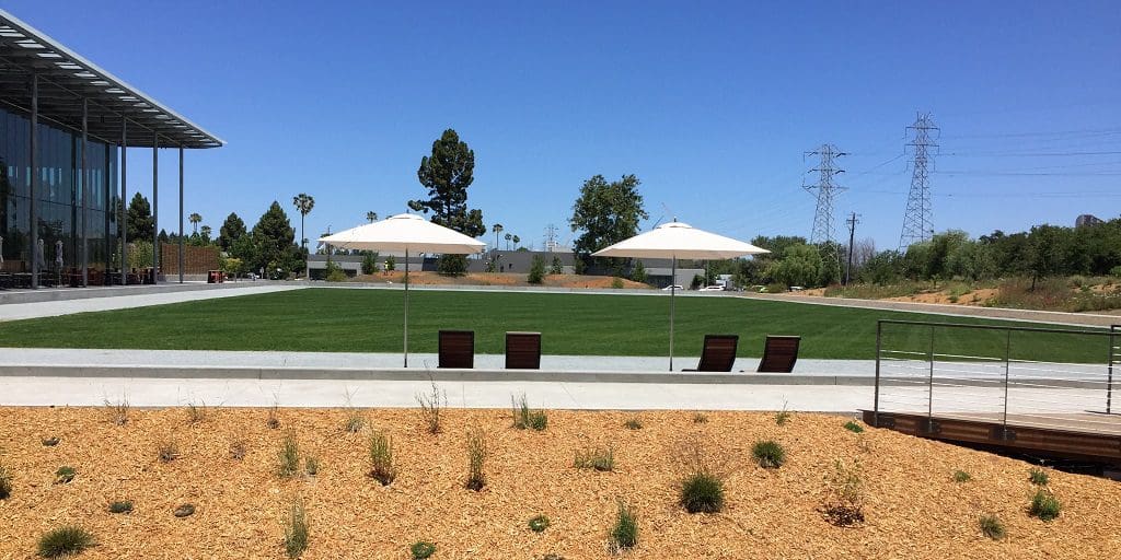 A view of some chairs and umbrellas in the grass.