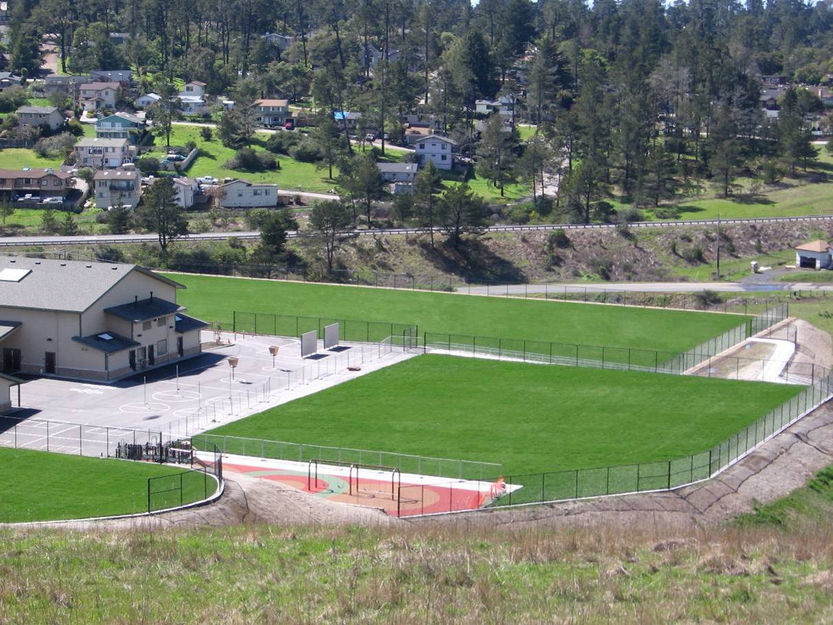 School sports fields surrounded by greenery.