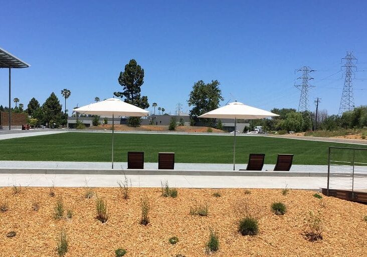 A view of some chairs and umbrellas in the grass.